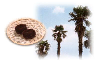 棕櫚について 海南特産家庭用品協同組合