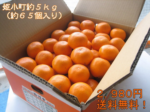 ɱ��Į����硡����̵��������������
