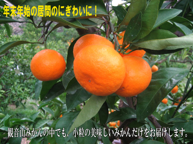 ǯ��ǯ�ϤΤ����ˤ��Ҥɤ������Ѳ����ߤ���ɱ��Į�����
