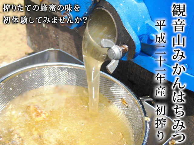 みかんはちみつ