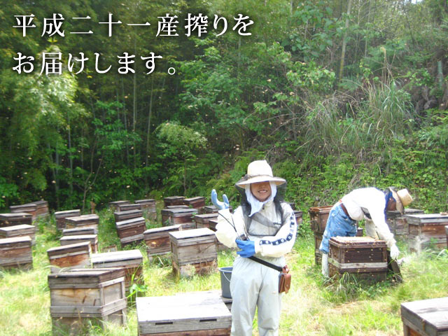 みかんはちみつ