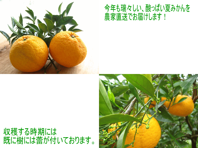 �Ƥߤ���