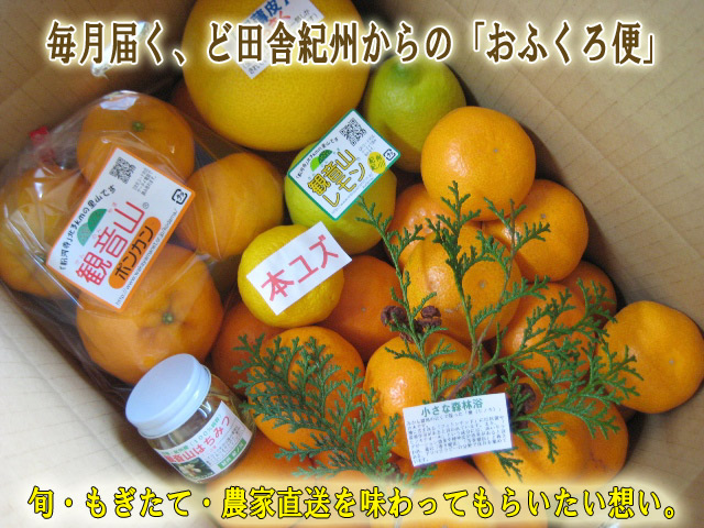 毎月届く、ど田舎紀州からの「おふくろ便」旬・もぎたて・農家直送を味わってもらいたい想い。。。