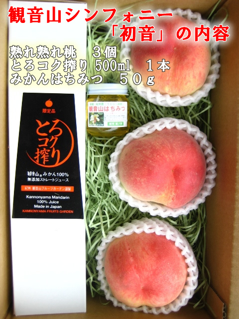 �Ѳ�������ե��ˡ��ֽ鲻�פ�����